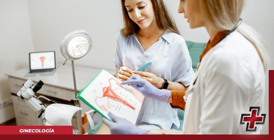 GINECOLOGIA